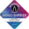 Indigo Warbler