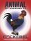 Cockerel