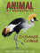 Crowned Crane