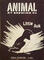 Little Auk