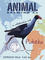 Pukeko