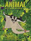 Sugar Glider