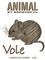 Vole