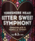 Bitter Sweet Symphony